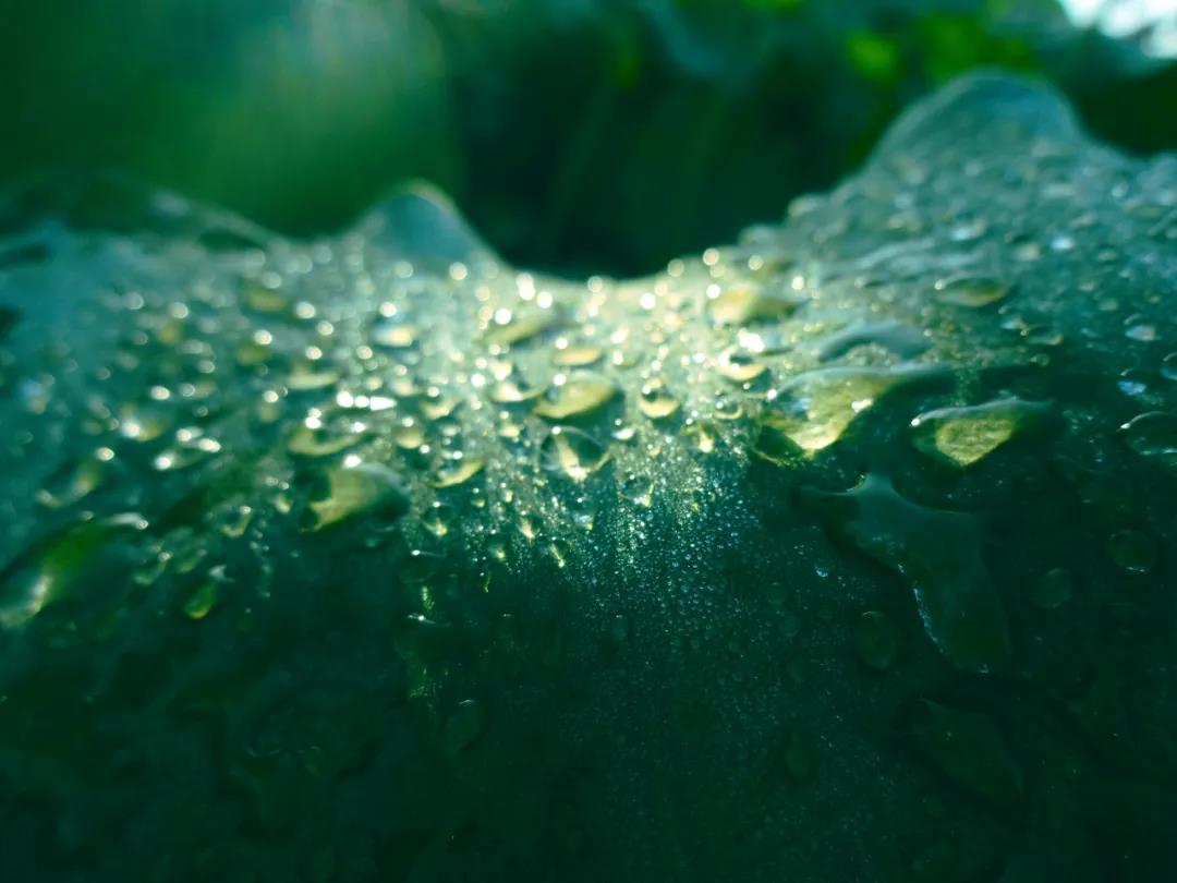 微信圖片_20210916110459